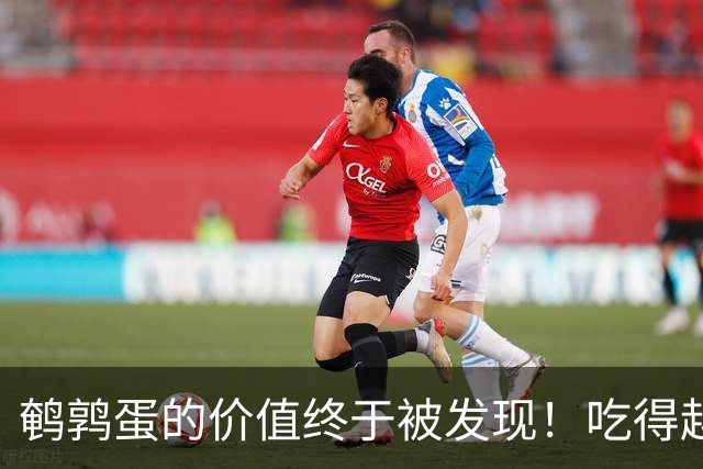 鹌鹑蛋的价值终于被发现！吃得越多，老年人跌倒风险或越低？真假